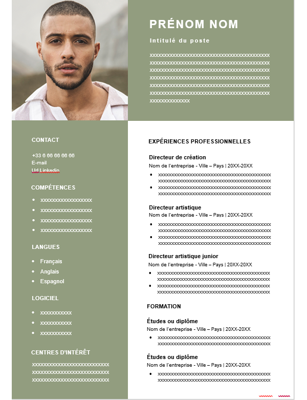 CV Polyvalent Professionnel