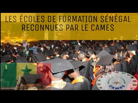 Écoles de formation au Sénégal: Un Guide Savoir Plus