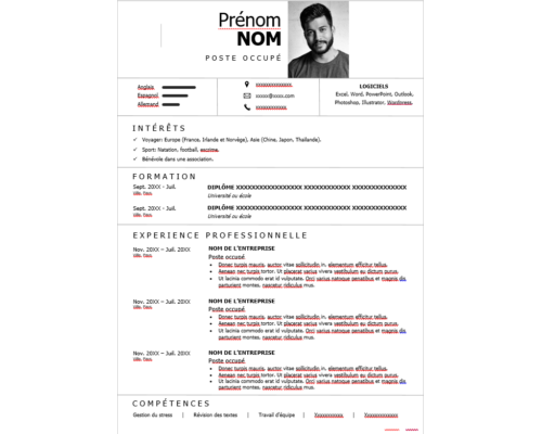 CV Professionnel Classique et Polyvalent