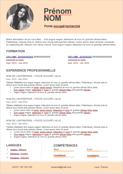 CV Élégant et Professionnel