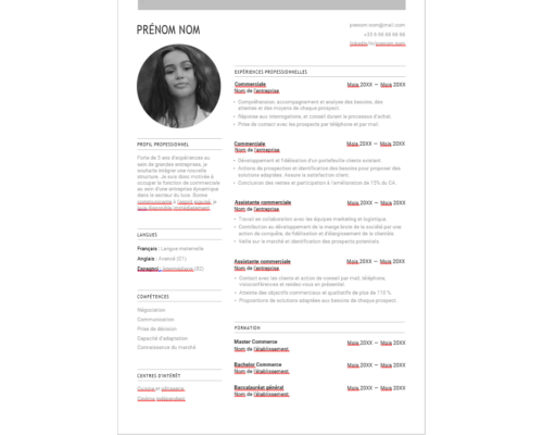 CV Commercial et Relation Client
