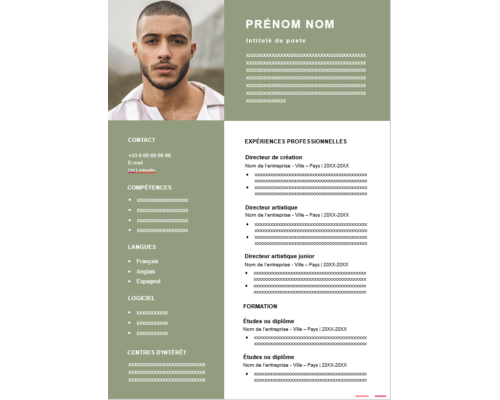 CV Polyvalent Professionnel