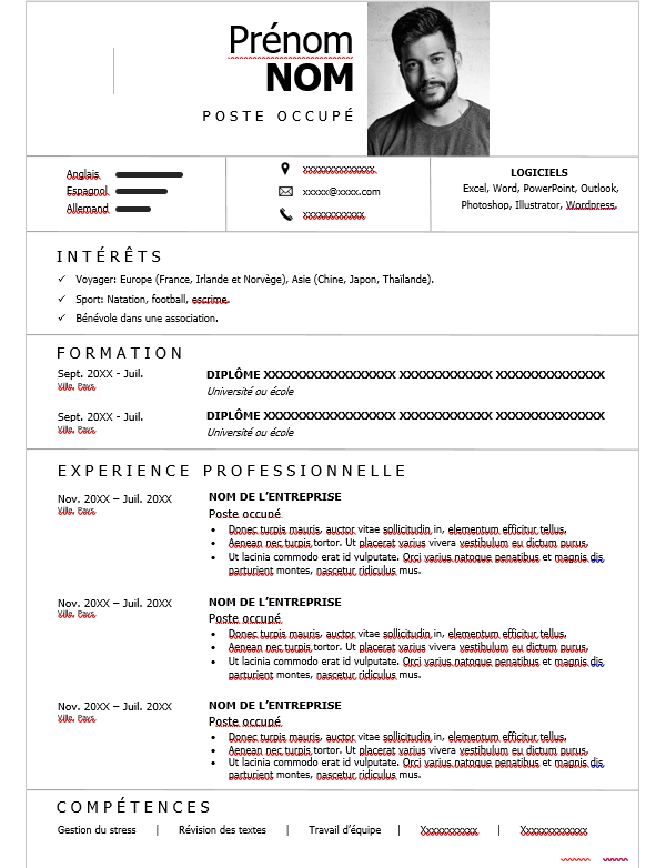 CV Professionnel Classique et Polyvalent