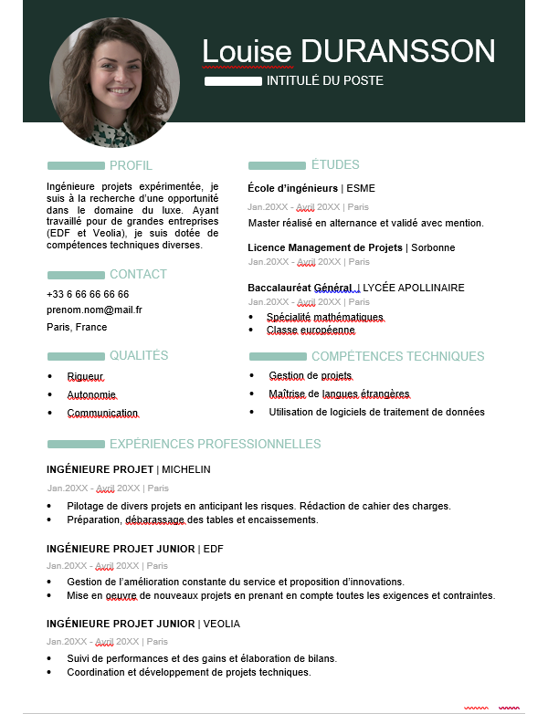 CV Ingénieur Projet et Management
