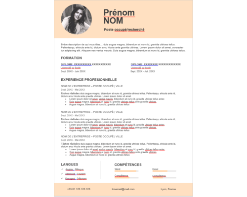 CV Élégant et Professionnel